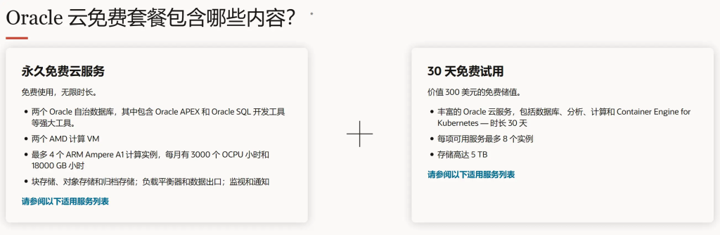 【保姆级】免费注册甲骨文Oracle服务器及注意事项-HeiMiao博客